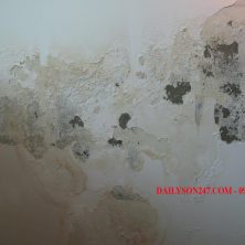 Cách cạo bỏ lớp sơn cũ trên tường