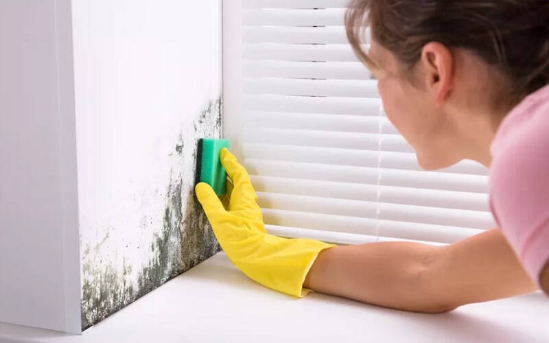 Cần vệ sinh sạch sẽ bề mặt tường trước khi lăn sơn