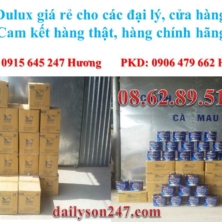 Mua sơn nước Dulux giá rẻ bất ngờ!