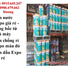 Chuyên phân phối sơn nước Expo giá rẻ!
