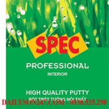 Bột trét tường Spec Pro Putty For Int
