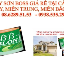 NHÀ MÁY SƠN BOSS TẠI GÒ CÔNG TUYỀN GIANG , CHÂU THÀNH, TÂN PHƯỚC