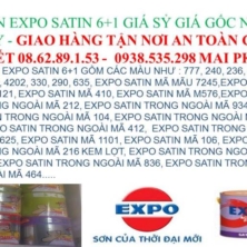 SƠN EXPO SATIN 6+1 BÓNG GIÁ SỶ TOÀN QUỐC SƠN EXPO SATIN 6+1 BÓNG GIÁ SỶ TOÀN QUỐC