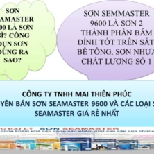 Sơn Seamaster 9600, đại lý sơn Seamaster 9600, sơn 9600 Seamaster giá rẻ