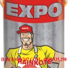Sơn nước ngoại thất Expo Rainkote thường Sơn nước ngoại thất Expo Rainkote thường
